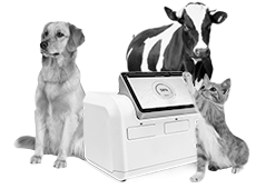 Оборудование для ветеринарии